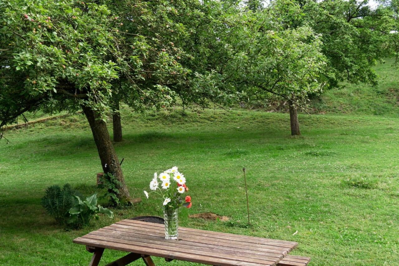 La Petite Maison O Bord De L'Eau Bernieres-le-Patry Zewnętrze zdjęcie